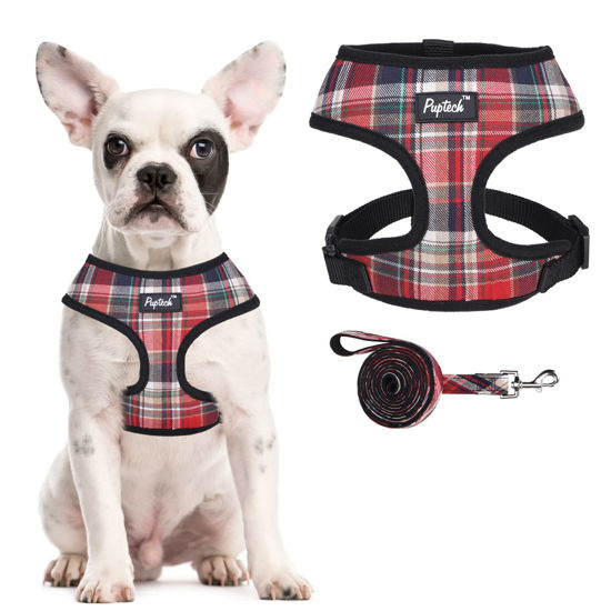 Picture of PUPTECK Soft Mesh Dog Harness and Leash Set Pet Puppy Cat Comfort Padded Vest No Pull Harnesses, Red Mixed, M