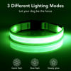 Picture of Vizpet LED Dog Collar, Light Up Dog Collar Adjustable USB Rechargeable Super Bright Safety Light Glowing Collars for Dogs(Medium,Green)