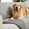Picture of Gorilla Grip 100% Waterproof Dog Blanket 82x82, Pet Friendly Reversible Throw Essential for Large Dogs, Tear Resistant Leakproof Washable Couch Cushion Protector Cover for Indoor Furniture, Light Gray