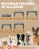 Picture of Jovrun Elevated Dog Bowls, Dog Feeder with 2 Stainless Steel Bowls &1 Slow Feeder Dog Bowls, 5 Heights Adjustable Raised Dog Bowls Stand for Medium Large Dogs, Dog Food Bowls with Non-Slip Feet