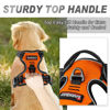 Picture of BARKBAY No Pull Dog Harness Front Clip Heavy Duty Reflective Easy Control Handle for Large Dog Walking(Orange,M)