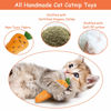 Picture of ETEKYER Catnip Toys, Cat Toys, Catnip Toys for Cats, Cat Toys with Catnip, Cat Toys for Indoor Cats, Interactive Cat Toy, Cat Chew Toy, Cat Pillow Toys, Cat Toys for Kittens Kitty