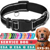 Picture of TECEUM Reflective Pet Collar - Black - L - Basic Nylon Dog Collar - Quick Release Buckle - Fits Small, Medium and Large Dogs, Puppies, Cats - ESA & Service Dog Options