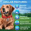 Picture of TECEUM Reflective Pet Collar - Red - S - Basic Nylon Dog Collar - Quick Release Buckle - Fits Small, Medium and Large Dogs, Puppies, Cats - ESA & Service Dog Options