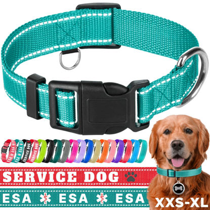 Picture of TECEUM Reflective Pet Collar - Teal - S - Basic Nylon Dog Collar - Quick Release Buckle - Fits Small, Medium and Large Dogs, Puppies, Cats - ESA & Service Dog Options