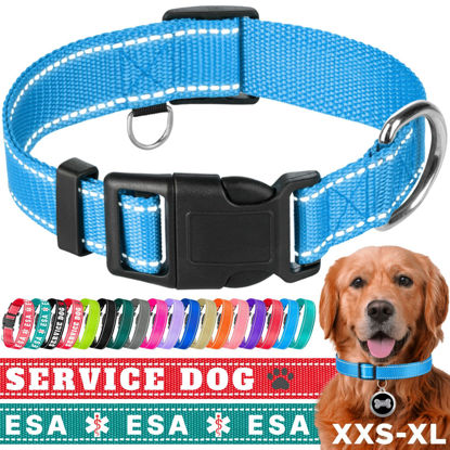 Picture of TECEUM Reflective Pet Collar - Sky Blue - L - Basic Nylon Dog Collar - Quick Release Buckle - Fits Small, Medium and Large Dogs, Puppies, Cats - ESA & Service Dog Options
