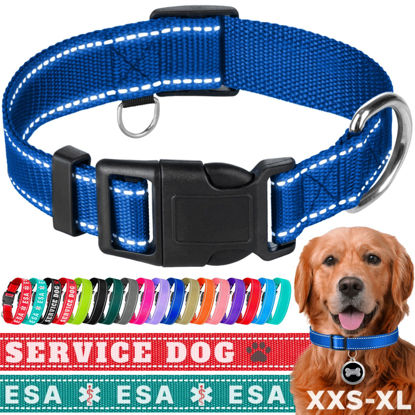 Picture of TECEUM Reflective Pet Collar - Navy Blue - L - Basic Nylon Dog Collar - Quick Release Buckle - Fits Small, Medium and Large Dogs, Puppies, Cats - ESA & Service Dog Options