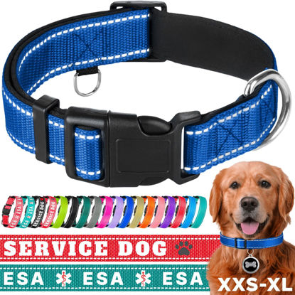 Picture of TECEUM Reflective Pet Collar - Navy Blue - S - Extra Soft Padding - Basic Nylon Dog Collar - Quick Release Buckle - Fits Small, Medium and Large Dogs, Puppies, Cats - ESA & Service Dog Options
