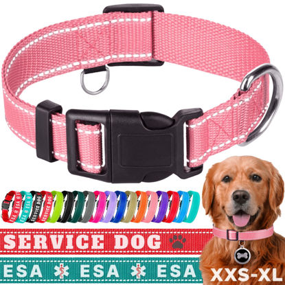 Picture of TECEUM Reflective Pet Collar - Pink - L - Basic Nylon Dog Collar - Quick Release Buckle - Fits Small, Medium and Large Dogs, Puppies, Cats - ESA & Service Dog Options