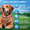 Picture of TECEUM Reflective Pet Collar - Pink - L - Basic Nylon Dog Collar - Quick Release Buckle - Fits Small, Medium and Large Dogs, Puppies, Cats - ESA & Service Dog Options