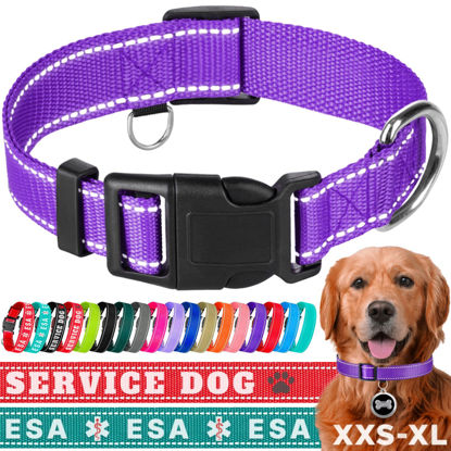 Picture of TECEUM Reflective Pet Collar - Purple - M - Basic Nylon Dog Collar - Quick Release Buckle - Fits Small, Medium and Large Dogs, Puppies, Cats - ESA & Service Dog Options