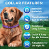 Picture of TECEUM Reflective Pet Collar - Purple - M - Basic Nylon Dog Collar - Quick Release Buckle - Fits Small, Medium and Large Dogs, Puppies, Cats - ESA & Service Dog Options