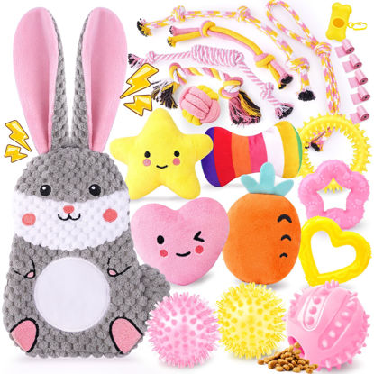 Picture of Zeaxuie 23 Pack Pink Puppy Toys for Teething, Small Dog Toys with Cute Puppy Chew Toys, Squeaky Dog Toys, Treat Ball and Interactive Rope Toys