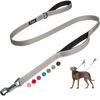 Picture of Fida 5 FT Heavy Duty Dog Leash with 2 Comfortable Padded Handles, Traffic Handle & Advanced Easy Snap Hook, Reflective Walking Lead for Large, Medium & Small Breed Dogs, Grey