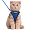 Picture of rabbitgoo Cat Harness and Leash Set for Walking Escape Proof, Adjustable Soft Kittens Vest with Reflective Strip for Cats, Comfortable Outdoor Vest,Blue,L