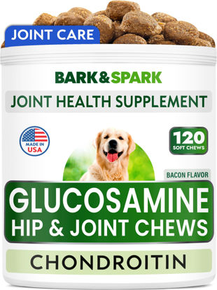Picture of BARK&SPARK Glucosamine Chondroitin Dog Hip & Joint Supplement - Joint Pain Relief - Hip & Joint Chews - Joint Support Large Small Breed - Senior Doggie Vitamin Pill Joint Health (120 Treats - Bacon)
