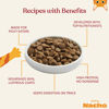 Picture of Made by Nacho Bone Broth Infused Dry Cat Kibble - Cage-Free Chicken & Pumpkin Recipe - Premium Grain-Friendly Cat Food 2lb Bag, Limited Ingredients