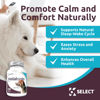 Picture of K9 Select Melatonin for Dogs - Dog Calming Treats, Sleep Aid for Dogs - High Antioxidant Helps with Immune System Booster - Wellness Calming Chews for Dogs - 3 mg, 100 Chewable Tablets