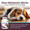 Picture of K9 Select Melatonin for Dogs - Dog Calming Treats, Sleep Aid for Dogs - High Antioxidant Helps with Immune System Booster - Wellness Calming Chews for Dogs - 3 mg, 100 Chewable Tablets