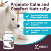 Picture of K9 Select Melatonin for Dogs - Calming Aid Tasty Dog Supplement - Helps Overall Health with Quiet Moments and Composure - Reduce Stress Calming Treats for Small Dogs - 1 mg, 180 Vegetable Capsules