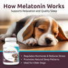 Picture of K9 Select Melatonin for Dogs - Calming Aid Tasty Dog Supplement - Helps Overall Health with Quiet Moments and Composure - Reduce Stress Calming Treats for Small Dogs - 1 mg, 180 Vegetable Capsules