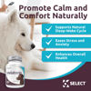 Picture of K9 Select Melatonin for Dogs - Calming Aid Tasty Dog Supplement - Helps Overall Health with Quiet Moments and Composure - Reduce Stress Calming Treats for Large Dogs - 5 mg, 180 Capsules