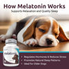 Picture of K9 Select Melatonin for Dogs - Calming Aid Tasty Dog Supplement - Helps Overall Health with Quiet Moments and Composure - Reduce Stress Calming Treats for Large Dogs - 5 mg, 180 Capsules