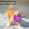 Picture of Hyper Pet Flippy Flopper 9" Flying Disc Soft Dog Toy, Floats in Water & Safe on Teeth, Pack of 1, Purple Swirl Design