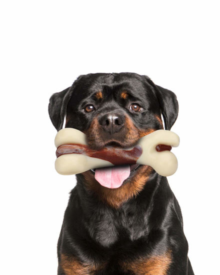 Picture of Tikaton Dog Chew Toys for Aggressive Chewers, Beef Flavor Durable Teething Bones for Large/Medium/Small Puppies