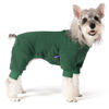 Picture of cyeollo Dog Pajamas Extra Small, Soft Fleece Pet Onesie Coat for Small Dogs Pjs Warm Puppy Stretchable Jumpsuit Cold Weather Dog Clothes Outfits, Green XS