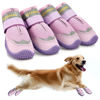 Picture of Petanims Dog Shoes for Large Dogs, Medium Dog Boots & Paw Protectors for Winter Snow, Breathable Dog Booties for Hot Pavement, Hardwood Floors Purple Size 6