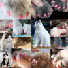 Picture of VICTHY 140pcs (14 Colors) Cat Nail Caps, Cat Claw Covers Cat Nail Covers with Adhesives and Applicators (Medium)
