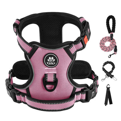 Picture of IVY&LANE No Pull Dog Harness for Small Dogs, Dog Vest Harness with Leash, Safety Belt and Storage Strap, Fully Adjustable Harness, 360° Reflective Strip, Soft Handle (Pink, S)