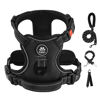 Picture of IVY&LANE No Pull Dog Harness for Medium Dogs, Dog Vest Harness with Leash, Safety Belt and Storage Strap, Fully Adjustable Harness, 360° Reflective Strip, Soft Handle (Black, M)