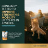 Picture of VetriScience GlycoFlex Plus Hip and Joint Supplement for Dogs - Extra-Strength Joint Support Chews with Green Lipped Mussel, Chondroitin, and Glucosamine for Dogs