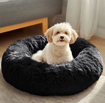 Picture of JOLLYVOGUE Dog Beds, Calming Small Dog Bed, Anti-Anxiety Dog Bed for Small Dogs, Fluffy Donut Dog Bed, Cozy Dog Cat Cushion Bed for Small Medium Dogs (24")