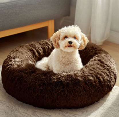 Picture of JOLLYVOGUE Dog Beds, Calming Small Dog Bed, Anti-Anxiety Dog Bed for Small Dogs, Fluffy Donut Dog Bed, Cozy Dog Cat Cushion Bed for Small Medium Dogs and Cats (20")