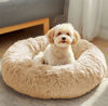 Picture of JOLLYVOGUE Dog Beds, Calming Small Dog Bed, Anti-Anxiety Dog Bed for Small Dogs, Fluffy Donut Dog Bed, Cozy Dog Cat Cushion Bed for Small Medium Dogs and Cats (20")