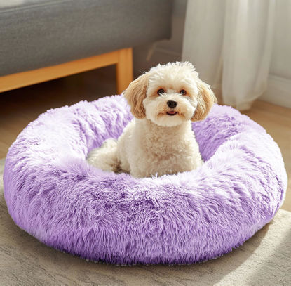 Picture of JOLLYVOGUE Dog Beds, Calming Small Dog Bed, Anti-Anxiety Dog Bed for Small Dogs, Fluffy Donut Dog Bed, Cozy Dog Cat Cushion Bed for Small Medium Dogs (24")