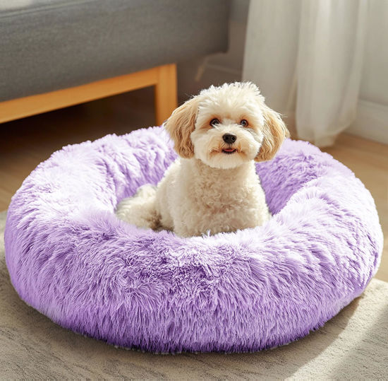 Picture of JOLLYVOGUE Dog Beds, Calming Small Dog Bed, Anti-Anxiety Dog Bed for Small Dogs, Fluffy Donut Dog Bed, Cozy Dog Cat Cushion Bed for Small Medium Dogs (24")