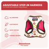 Picture of Downtown Pet Supply Step in Dog Harness for Small Dogs No Pull, Large, Donut - Adjustable Harness with Padded Mesh Fabric and Reflective Trim - Buckle Strap Harness for Dogs