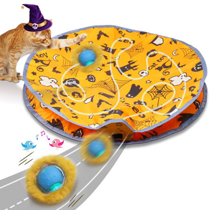 Picture of Giociv Interactive Cat Toys Ball Fast Rolling in Pouch, Motion Activate Chirping Cat Toy Hide and Seek Mouse Catching Game (Halloween Party)