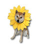 Picture of ComfyCamper Sunflower Dog Costume for Small Medium Large Dog Puppy Puppies Cat Kitten - Cute Head Flower Headband Outfits - Collar Cone Costume Hat Sombrero Outfit Pet Cosplay Halloween (Large)