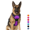 Picture of BARKBAY No Pull Dog Harness Large Step in Reflective Dog Harness with Front Clip and Easy Control Handle for Walking Training Running(Purple,XL)