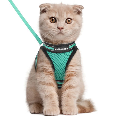 Picture of rabbitgoo Cat Harness and Leash Set for Walking Escape Proof, Adjustable Soft Kittens Vest with Reflective Strip for Cats, Comfortable Outdoor Vest,Green,L