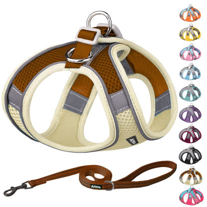Picture of AIITLE Dog Harness, No-Pull Pet Harness with a Leash, Adjustable Soft Padded Dog Vest in Any Season, Reflective Outdoor Pet Vest for Extra Small Dogs and House Cats Beige XXXS