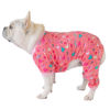 Picture of CuteBone Dog Costumes Holiday Theme Cat Clothes Pet Outfits Soft Shirts P216M