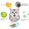 Picture of WoLover Silvervine Sticks for Cats, Natural Catnip Matatabi Chew Sticks Teeth Molar Chew Toys for Cat Kitten Kitty (25 PCS)