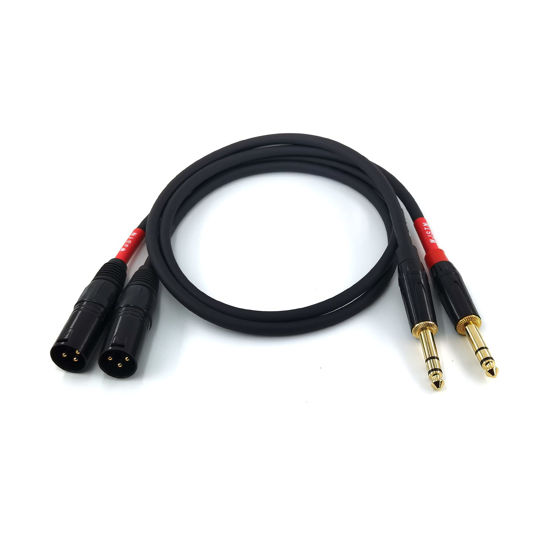 Picture of Suanqi 024 1/4 Inch TRS to XLR Male Cable, Balanced 6.35mm TRS Plug to 3-pin XLR Male, Quarter inch TRS Male to XLR Male Microphone Cable (2FT)