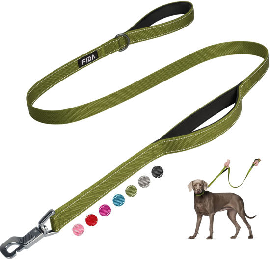 Picture of Fida 5 FT Heavy Duty Dog Leash with 2 Comfortable Padded Handles, Traffic Handle & Advanced Easy Snap Hook, Reflective Walking Lead for Large, Medium & Small Breed Dogs, Green